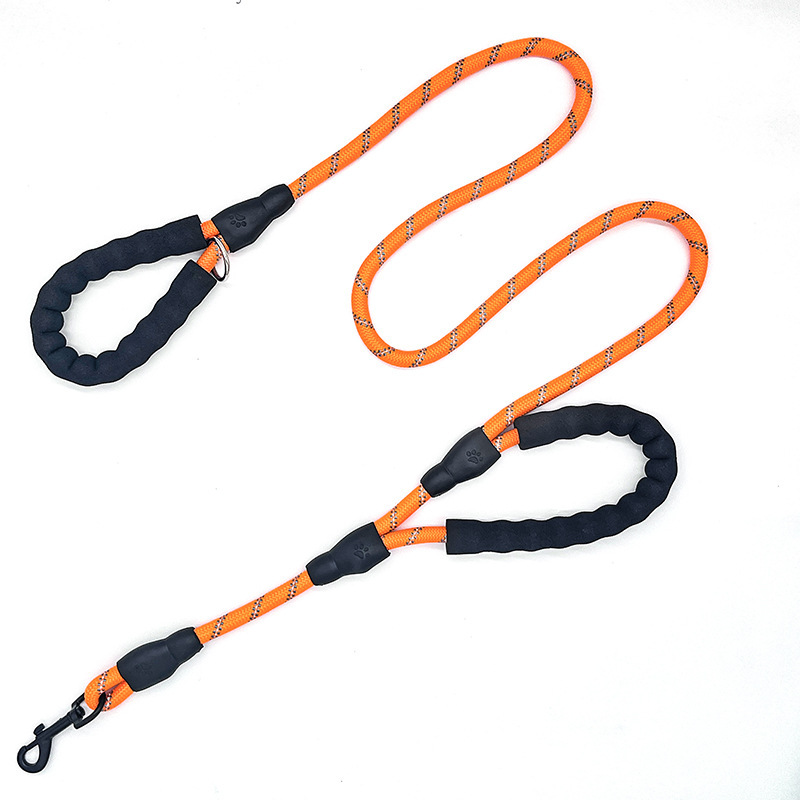 The Secret to Stress-Free Walks: Why Two Handles Are Better Than One