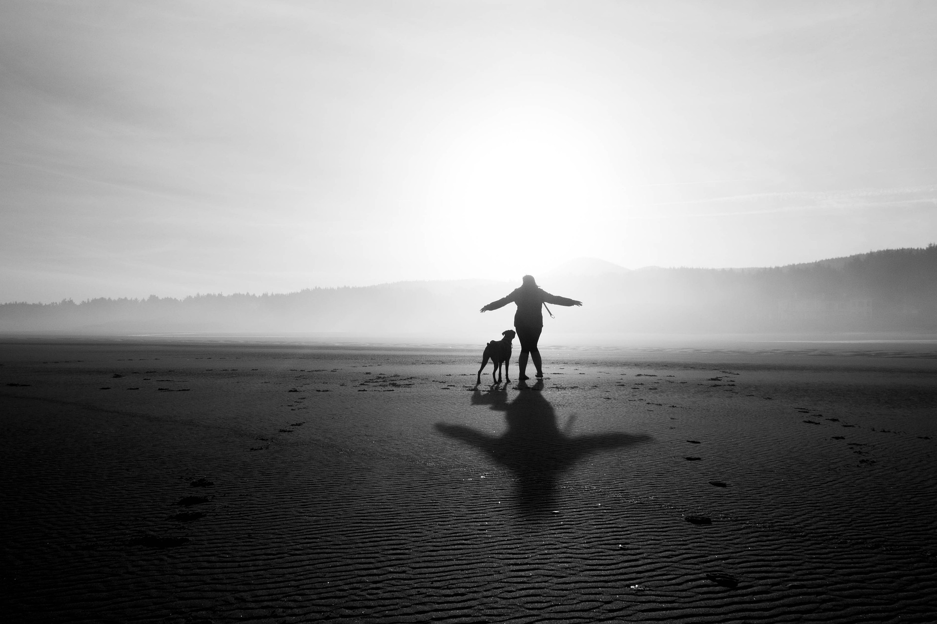 Top 60 Bonding Adventures With Your Dog