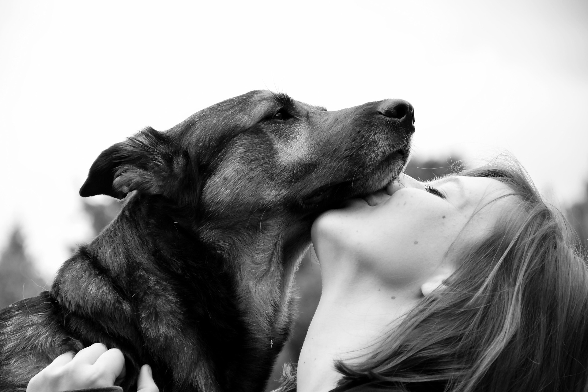 The Science of Devotion: How Your Dog Knows You Love Them