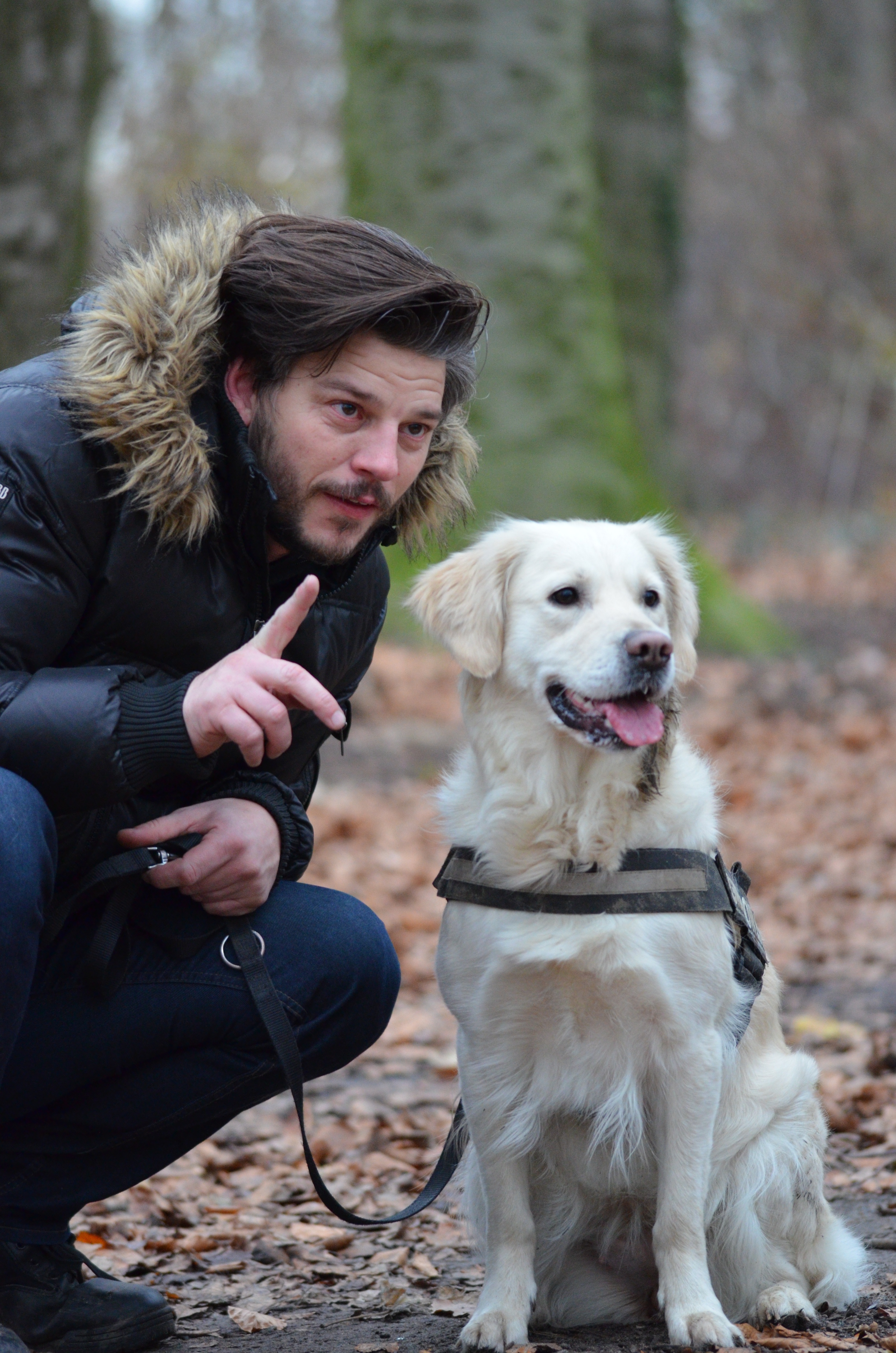 The Magic Number: How Many Minutes of Attention Does Your Dog Really Need?