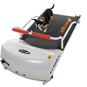 PetRun PR700 Professional Dog Treadmill for Small Dogs up to 44 lbs | Quiet Indoor Exercise & Training Machine
