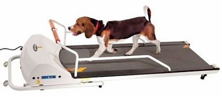 PetRun PR720F Foldable Dog Treadmill