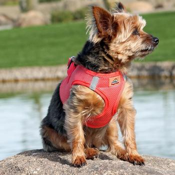 2nd view harness