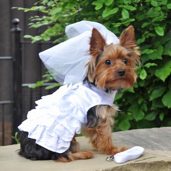 dog wedding dress dog wedding dress