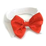 red bow tie