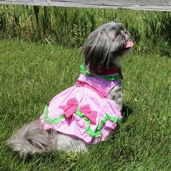 watermelon dress 2nd view