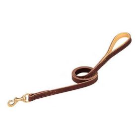 Deer Ridge Leather Leash (size: 5/8" x 48")