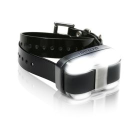 EDGE 1 Mile Extra Dog Collar (Color: Black)