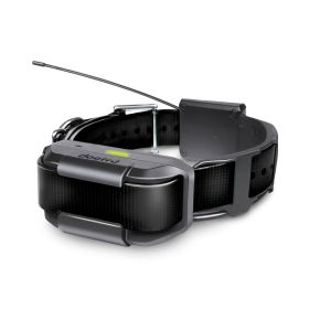Pathfinder Extra Collar (Color: Black)